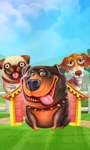 The Dog House