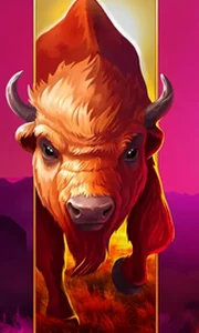 Big Wild Buffalo