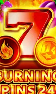 Burning Spins 243