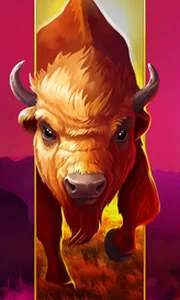 Big Wild Buffalo